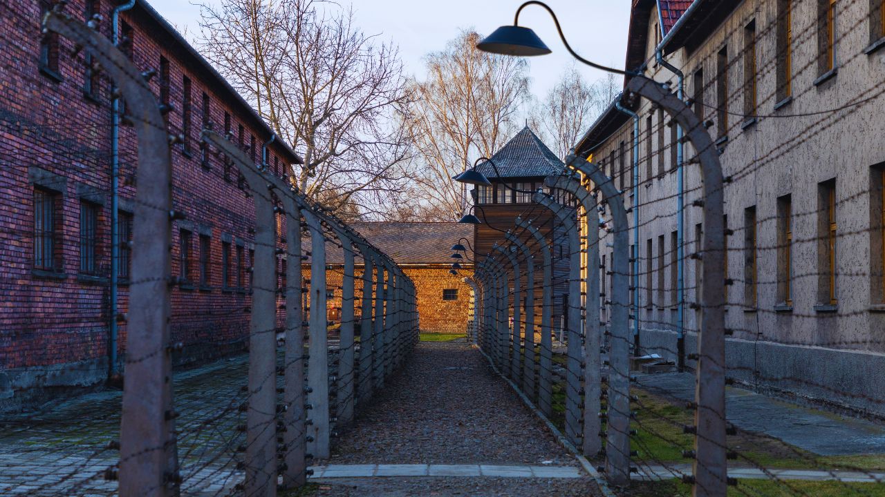 Holocausto: pesquisa revela desconhecimento profundo dos brasileiros