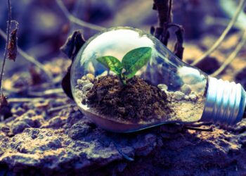 Sustentabilidade: por que ela é crucial para o futuro do planeta?