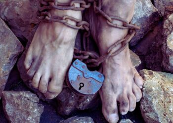 Trabalho escravo persiste no Brasil enquanto a Justiça pune quase ninguém