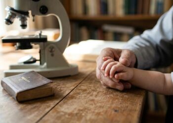 Cultura da vida: o que é a bioética e por que a Igreja se importa com isso