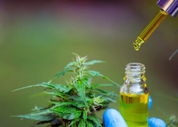 Anvisa autoriza cultivo de cannabis e expande acesso a terapias no Brasil