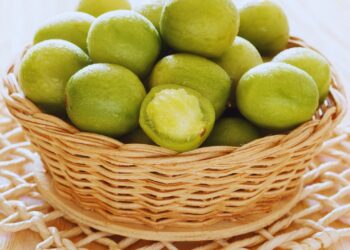 Umbu: benefícios, usos medicinais e como utilizar no dia a dia