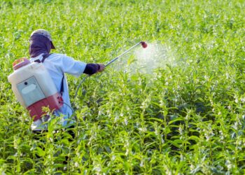 Agrotóxicos ficam mais tóxicos e Brasil se afasta da meta global da ONU