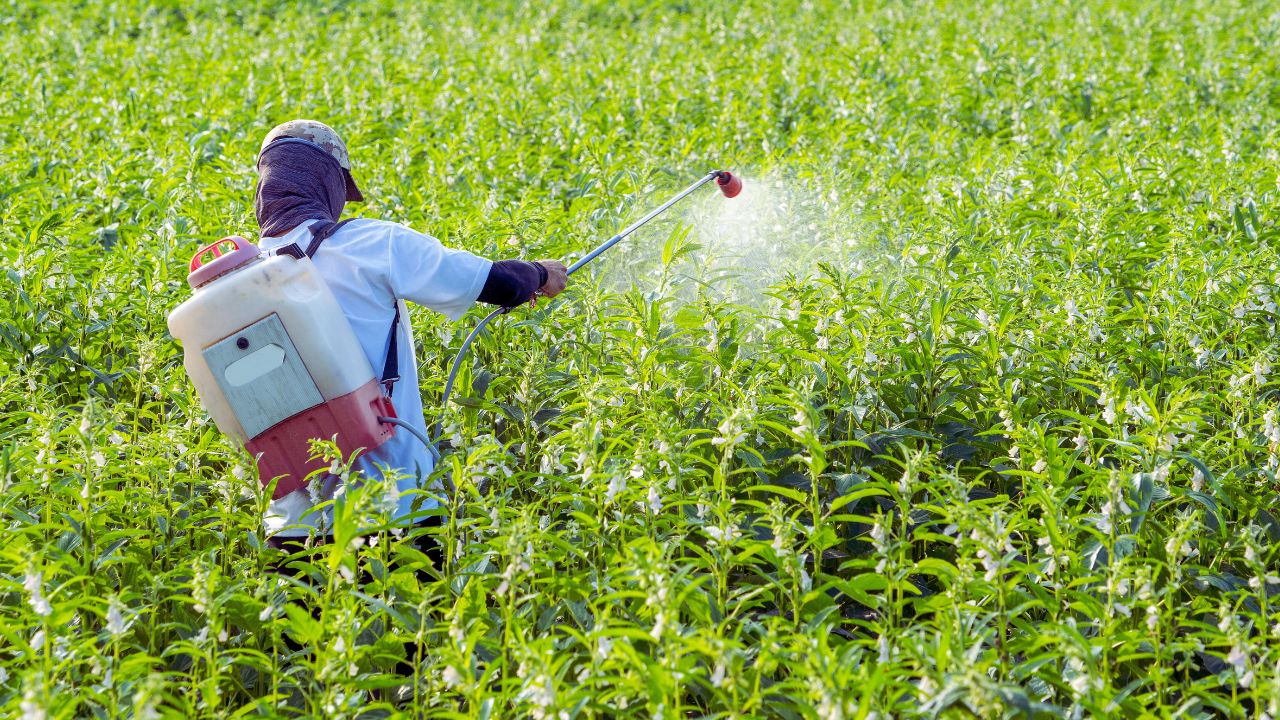Agrotóxicos ficam mais tóxicos e Brasil se afasta da meta global da ONU