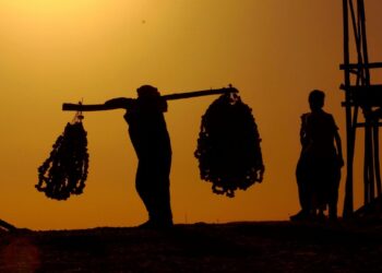 Brasil promulga protocolo da OIT contra trabalho forçado e reforça fiscalização global