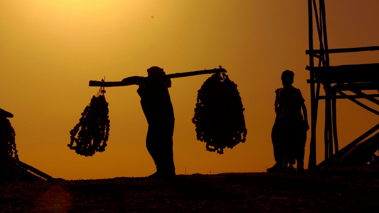 Brasil promulga protocolo da OIT contra trabalho forçado e reforça fiscalização global