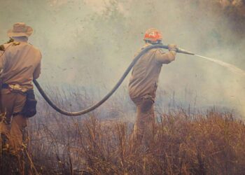 Alertas de desmatamento caem na Amazônia e no Cerrado, mas Pantanal acende sinal vermelho