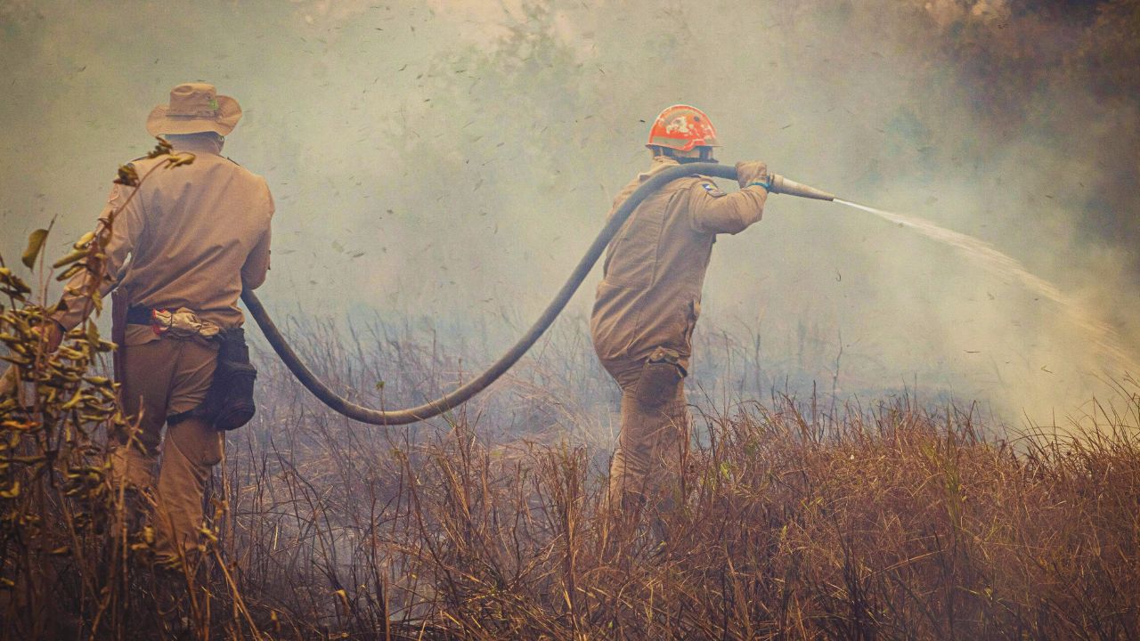 Alertas de desmatamento caem na Amazônia e no Cerrado, mas Pantanal acende sinal vermelho