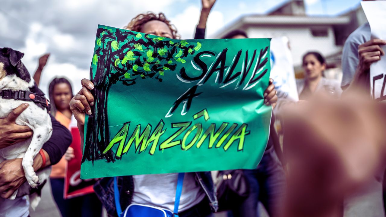 Fundo Amazônia: edital libera R$ 80 milhões para projetos de comunidades tradicionais