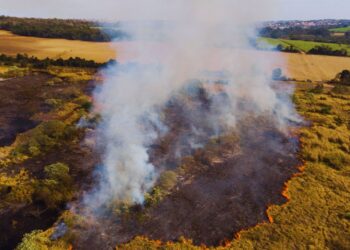 Plano Clima vira guia oficial para economia de baixo carbono e metas do Acordo de Paris