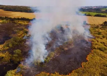 Plano Clima vira guia oficial para economia de baixo carbono e metas do Acordo de Paris