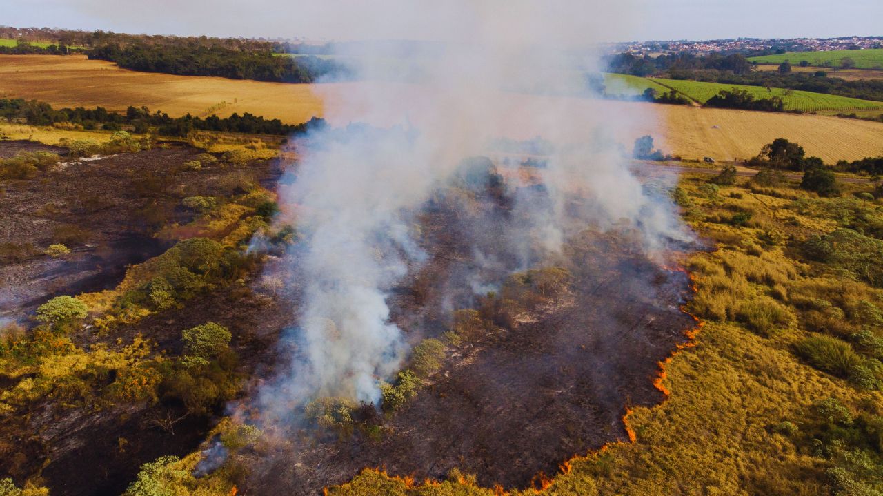 Plano Clima vira guia oficial para economia de baixo carbono e metas do Acordo de Paris