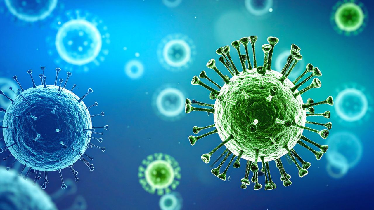 Nipah: Ministério da Saúde avalia que vírus não ameaça o Brasil