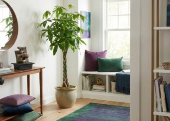 Feng Shui e abundância: ativando a prosperidade em casa