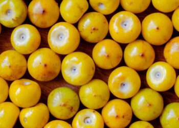 Murici: benefícios, usos medicinais e como utilizar no dia a dia