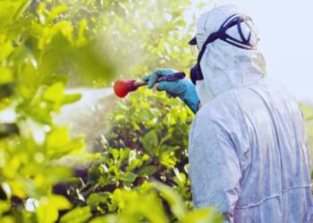 Comitê lista ações prioritárias para o programa de redução de agrotóxicos