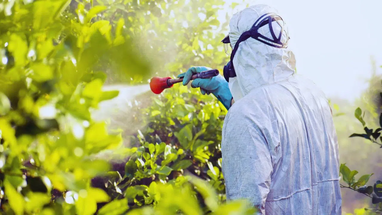 Comitê lista ações prioritárias para o programa de redução de agrotóxicos