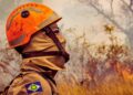 Governo prepara ação contra incêndios florestais em 2026 com 4,6 mil brigadistas