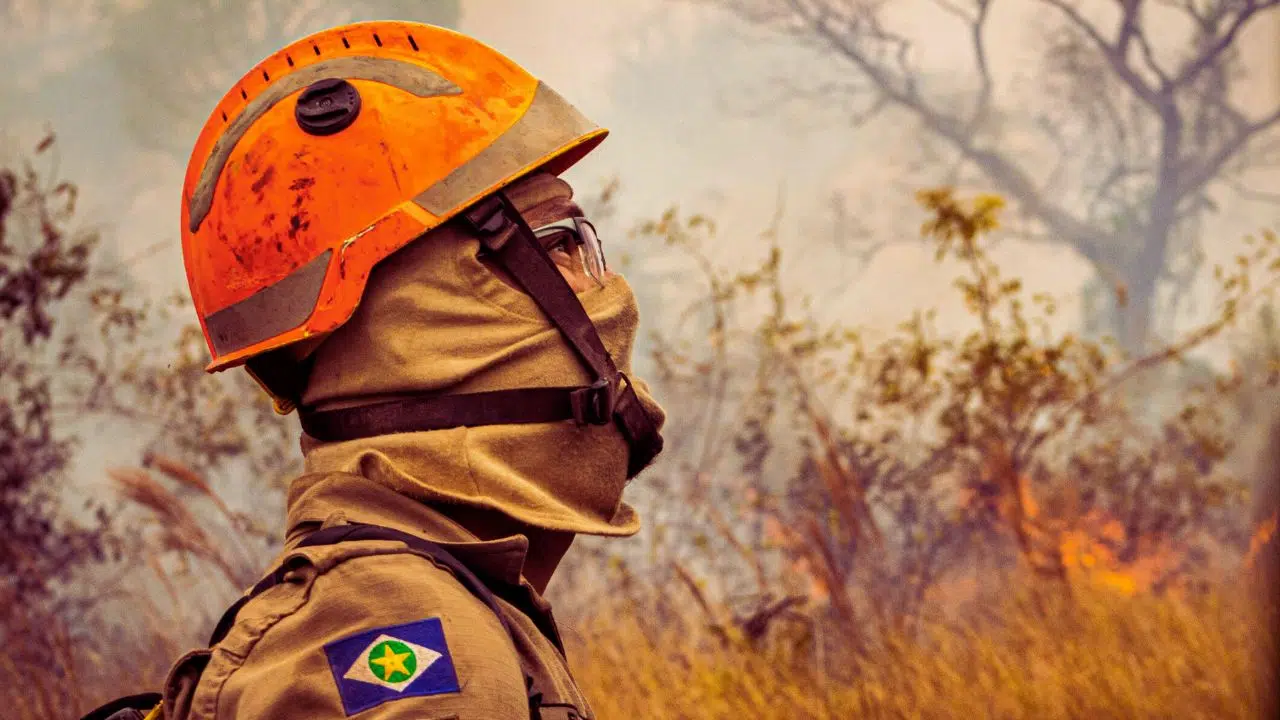 Governo prepara ação contra incêndios florestais em 2026 com 4,6 mil brigadistas
